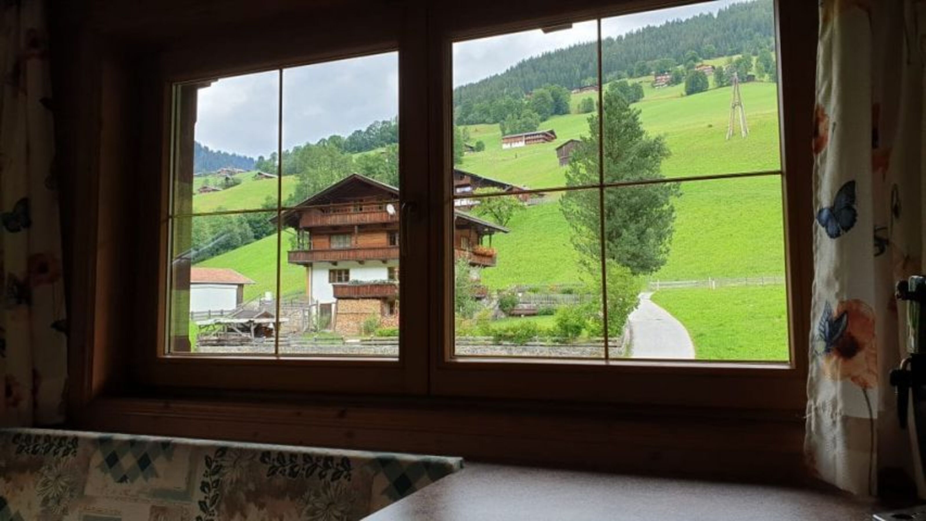Aussicht aus der Küche