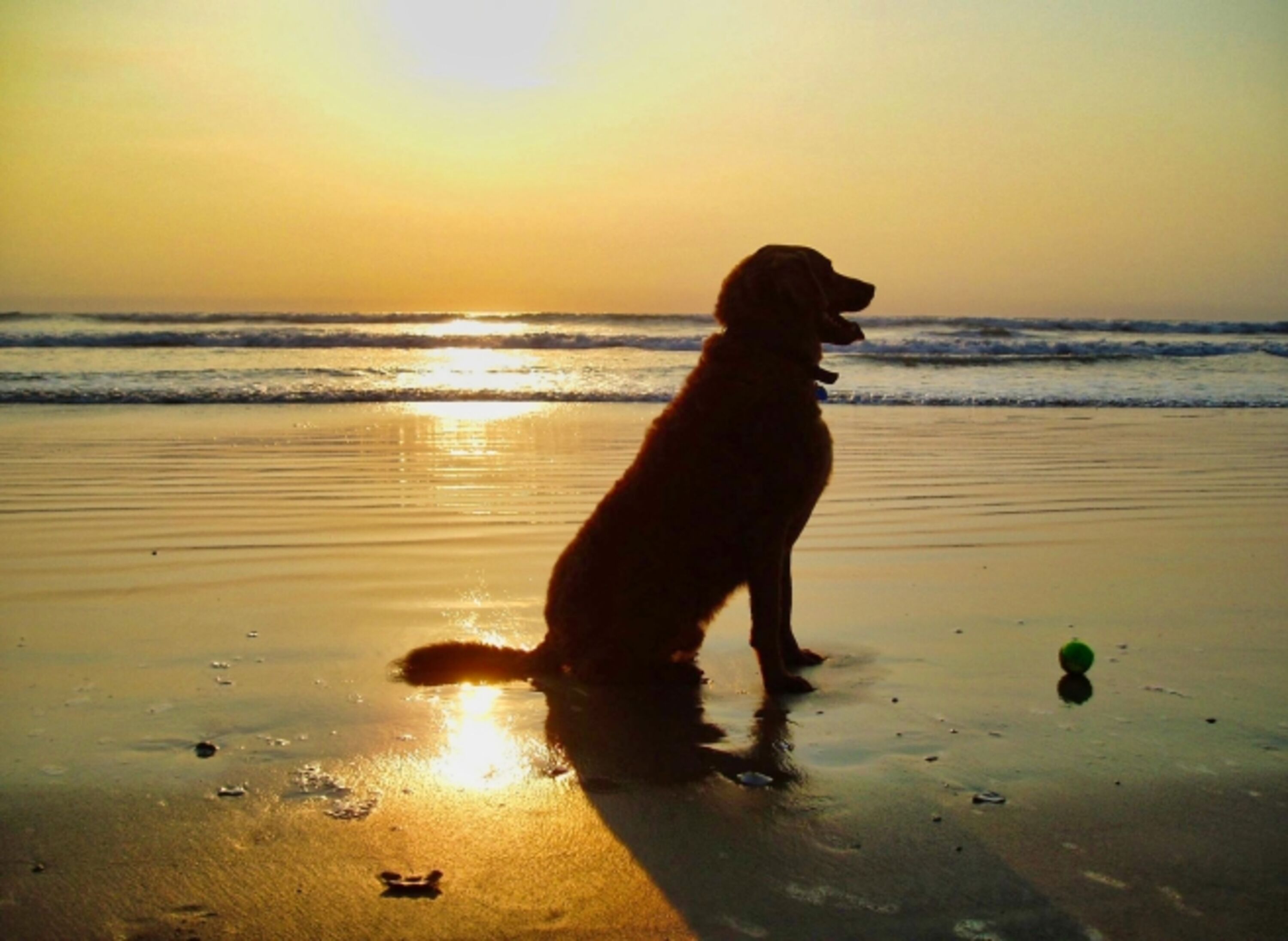 Mit Ihren Liebsten am Strand