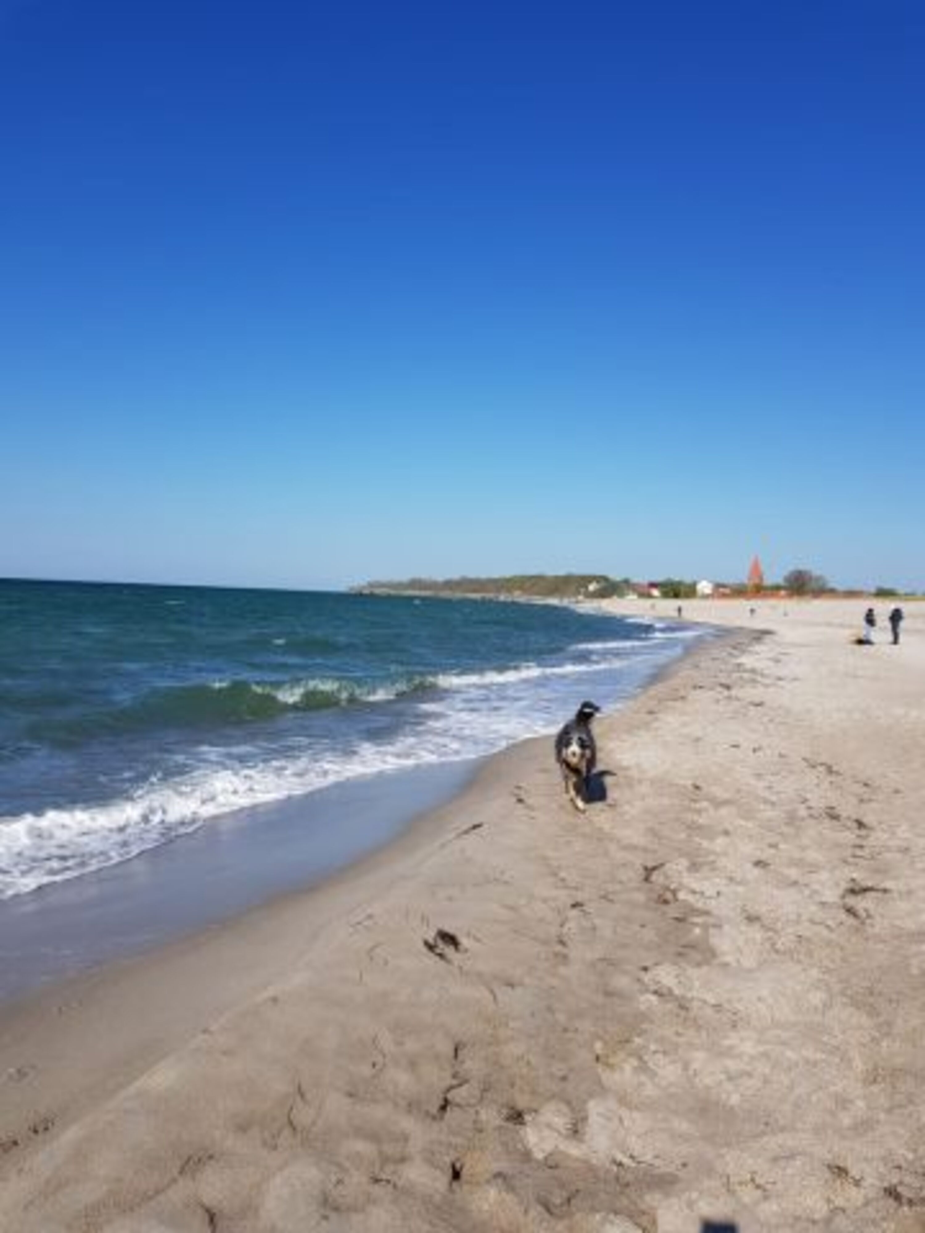 Reriker Strand