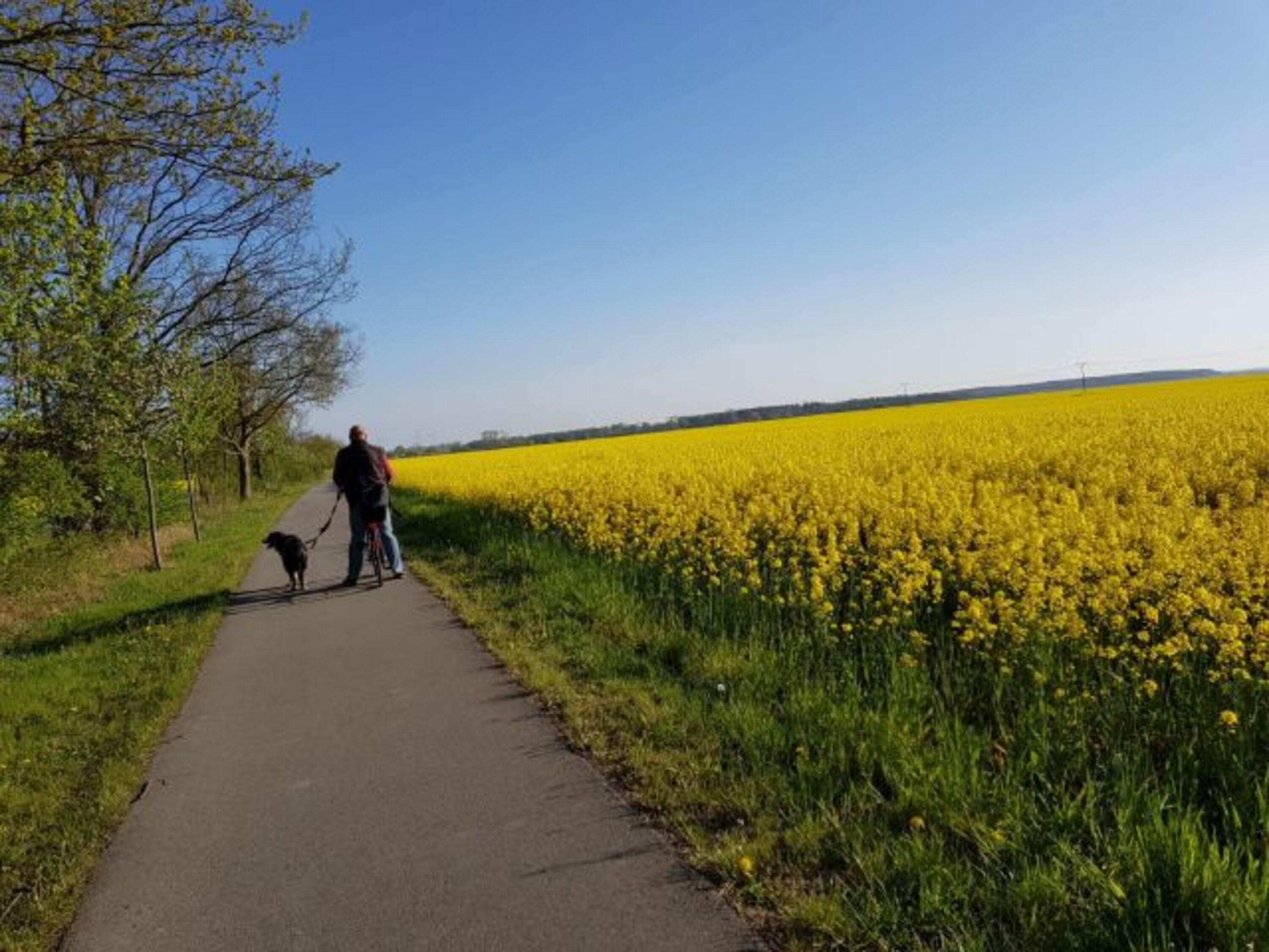 Fahrradtour mit Hund