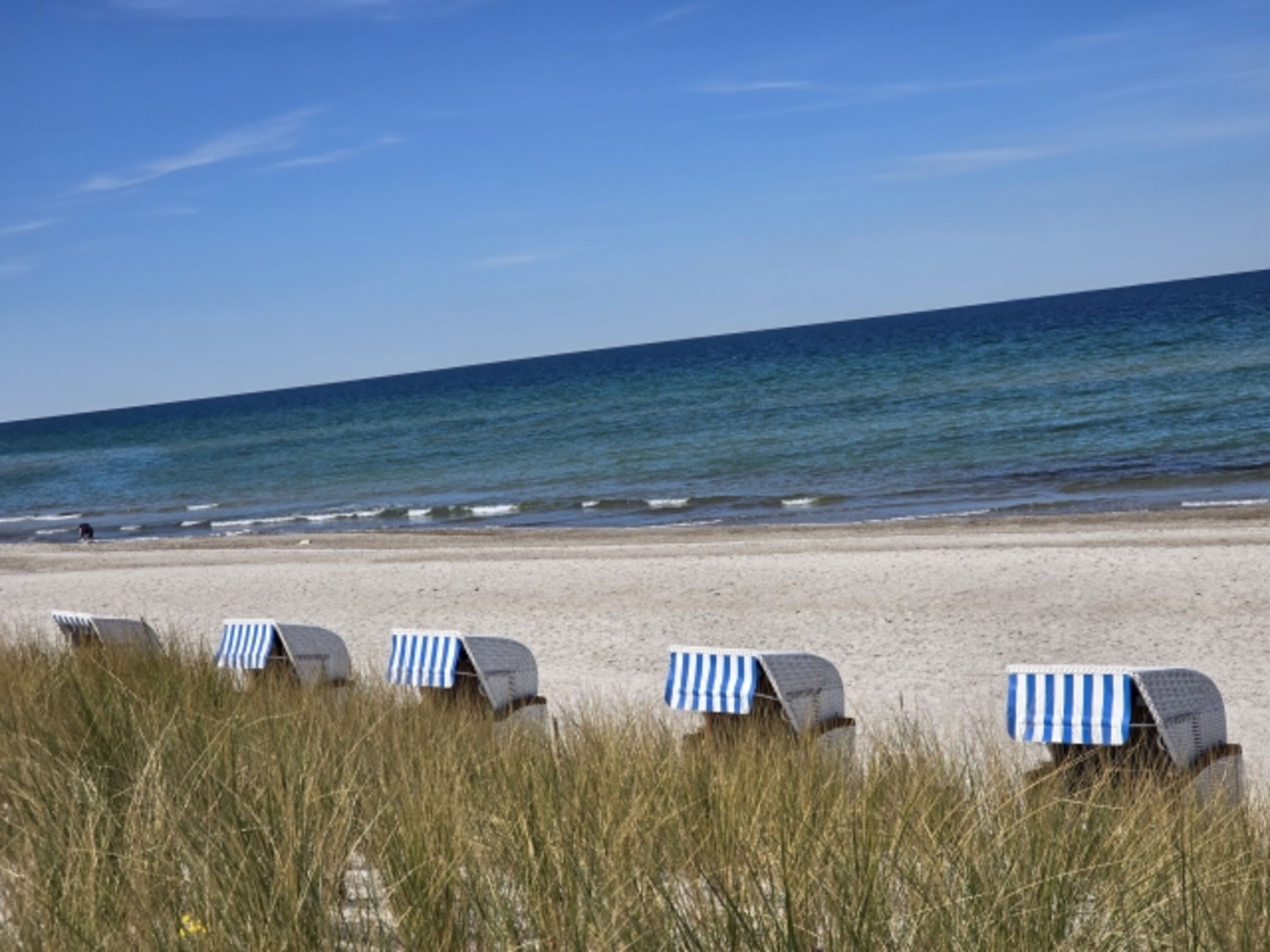 Strandkörbe in Rerik