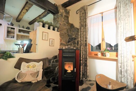 Gemütlicher Pelletofen - Pellets gratis - Zentral- u. Bodenheiz.