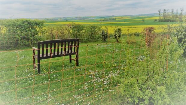 Weitere Spielwiese für Hunde mit Weidezaun am Wanderweg