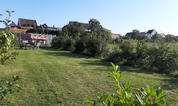 Hier dürfen die Fellnasen rumtoben