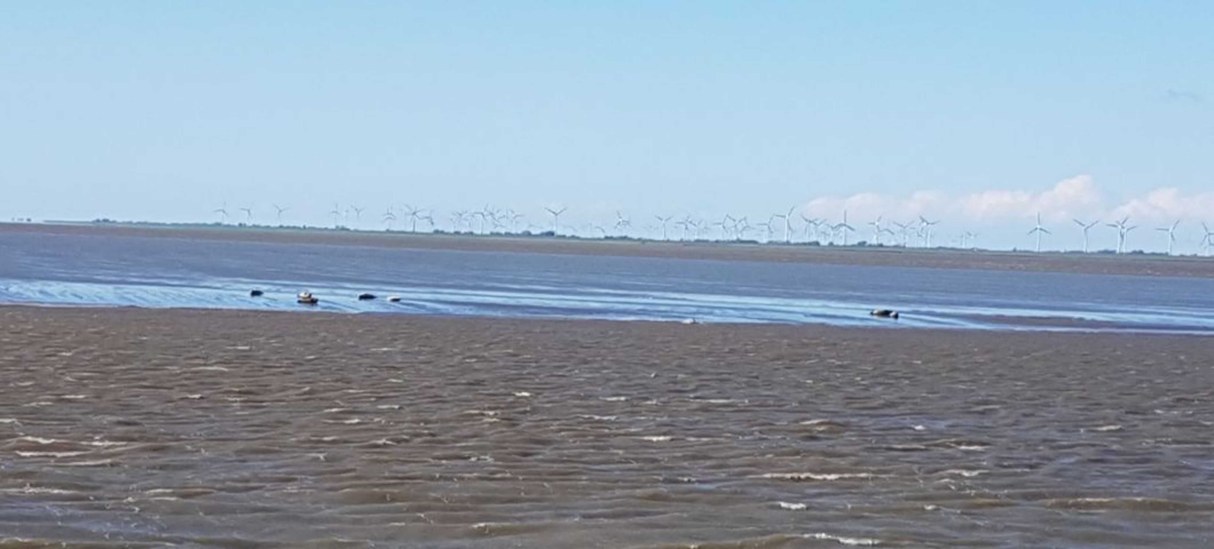 Cuxhaven Hafen