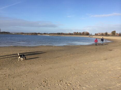Strand im Winter