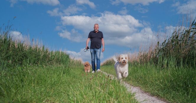 viele Wanderwege fuer Hunde