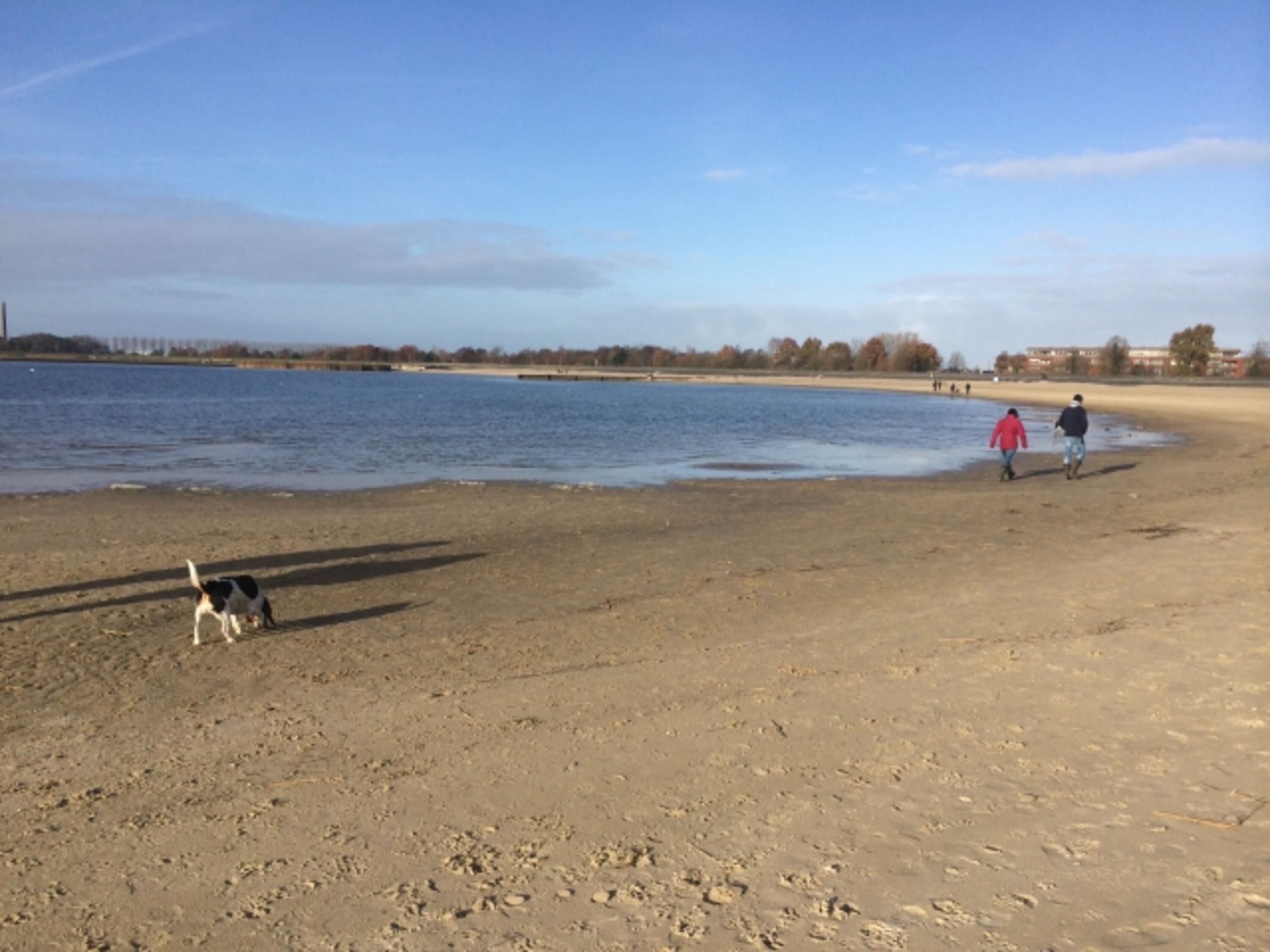 Strand im Winter