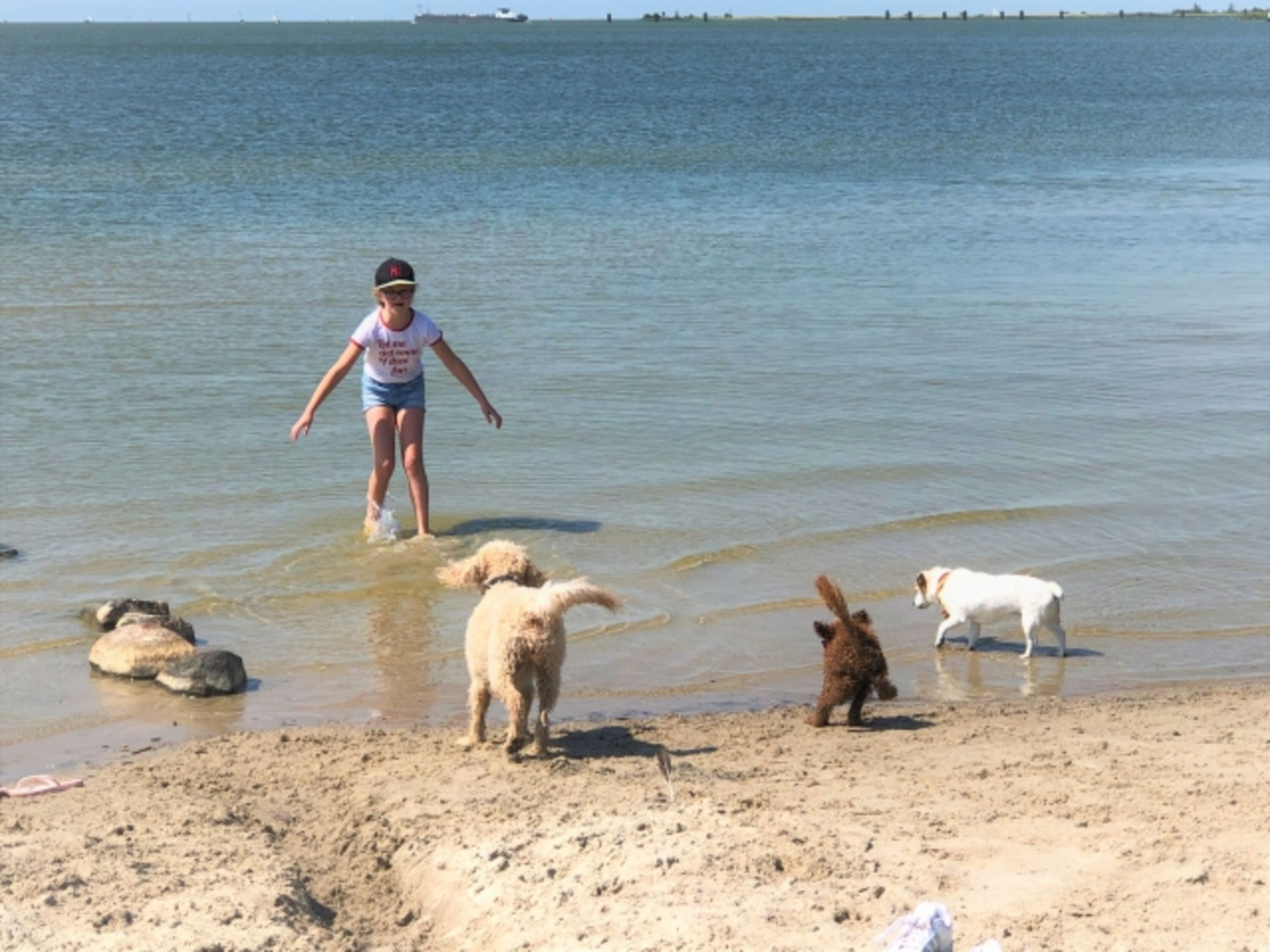 Hundestrand ganz jaehrig geoeffnet