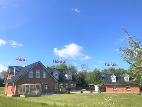 Blick aus dem Garten