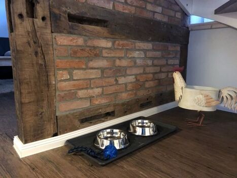 willkommen liebe Vierbeiner