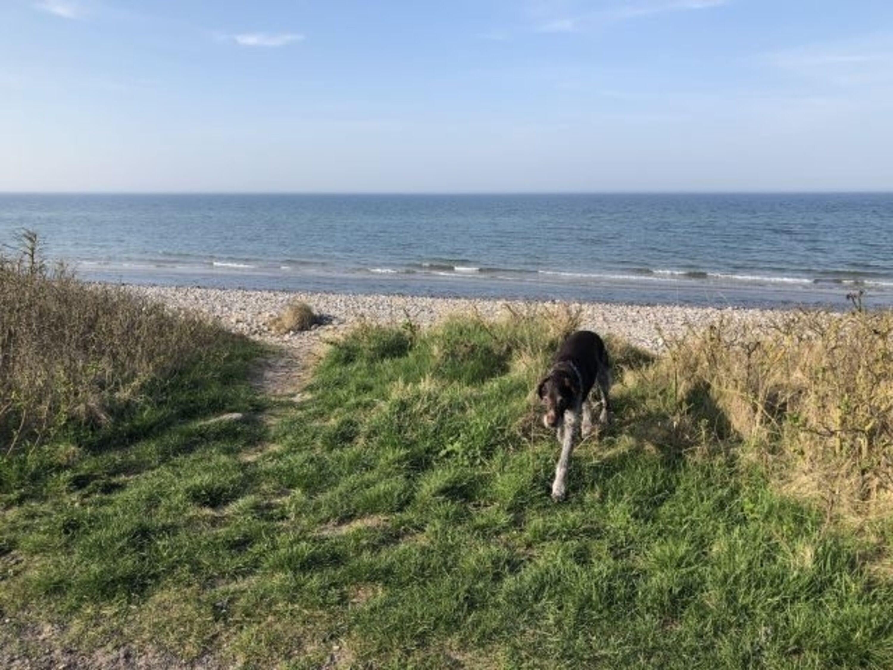 Bild 5