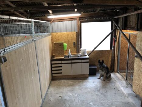 Hundezwinger mit Futterbereich