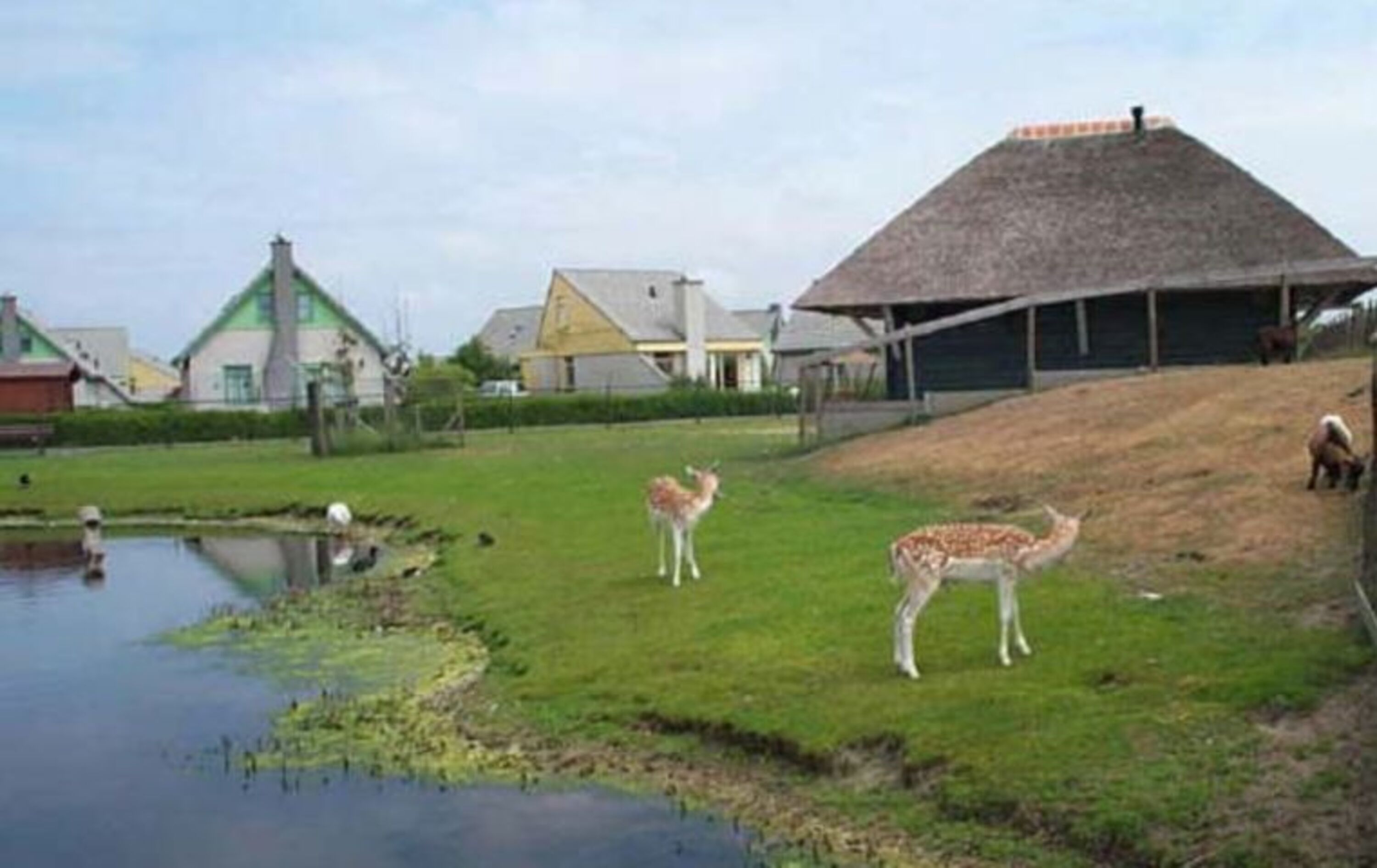 Bild 20