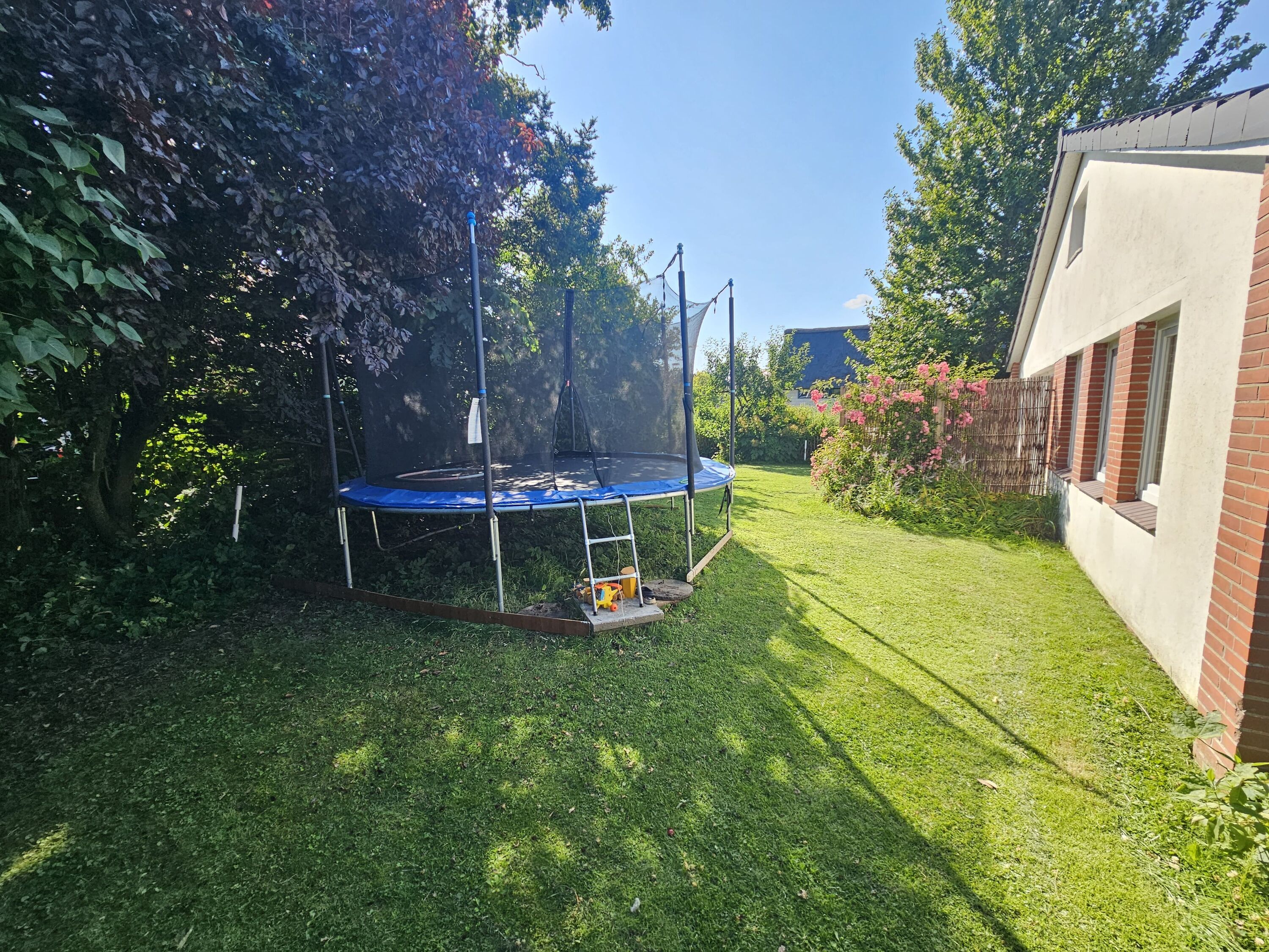 Trampolin