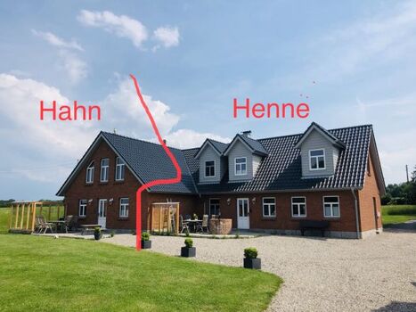 Blick aus dem Garten