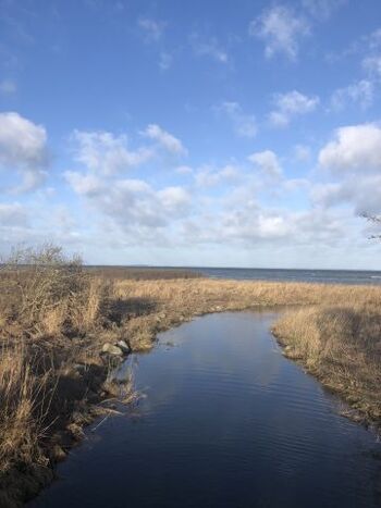 die Lippingau immer einen Spaziergang wert