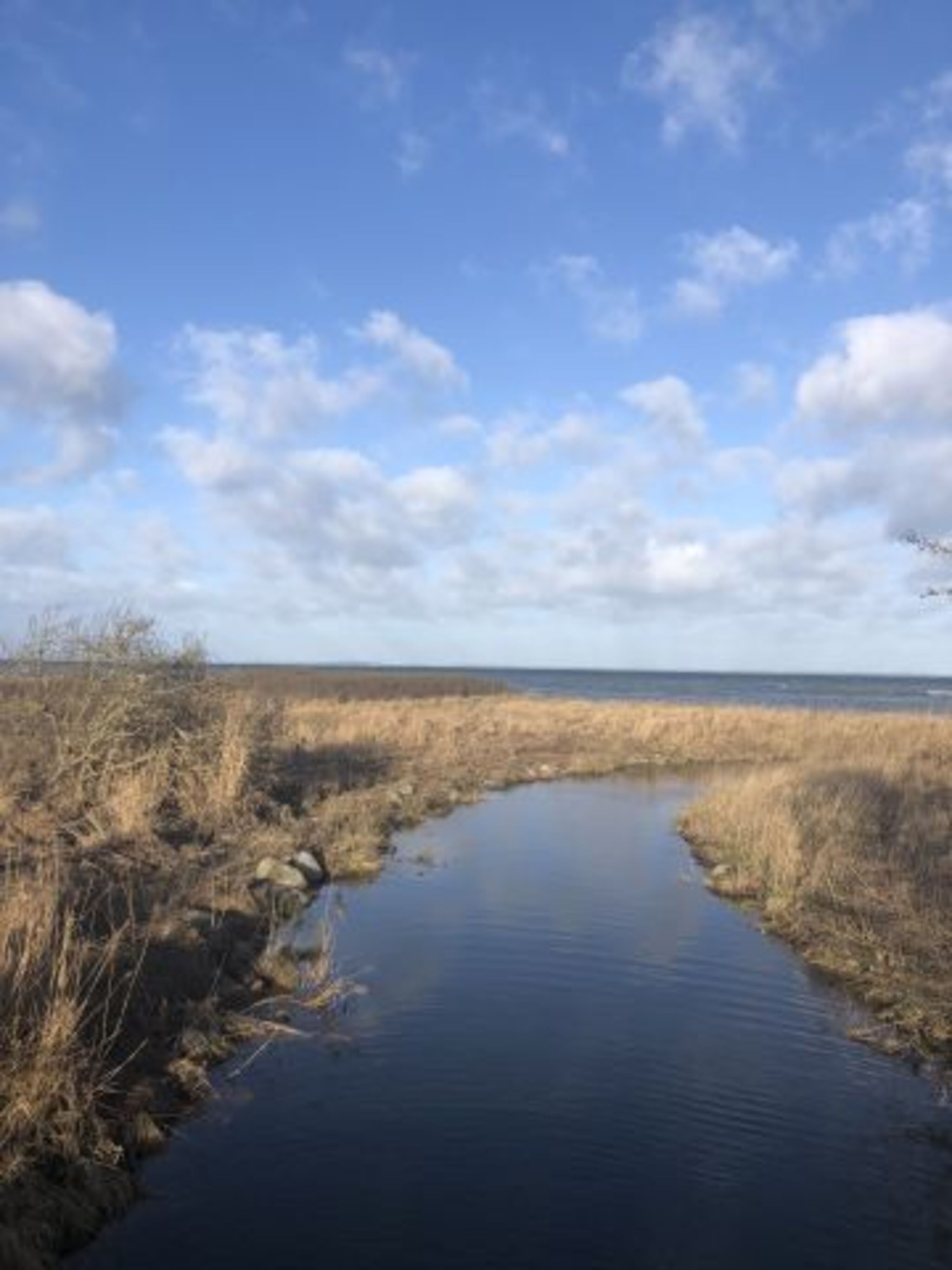 die Lippingau immer einen Spaziergang wert