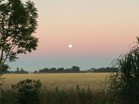 Der Blick über die Felder
