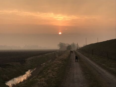 Der Weg an Deich entlang