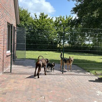 Wir fühlen uns wohl!