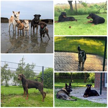 Herzlich willkommene Gäste!