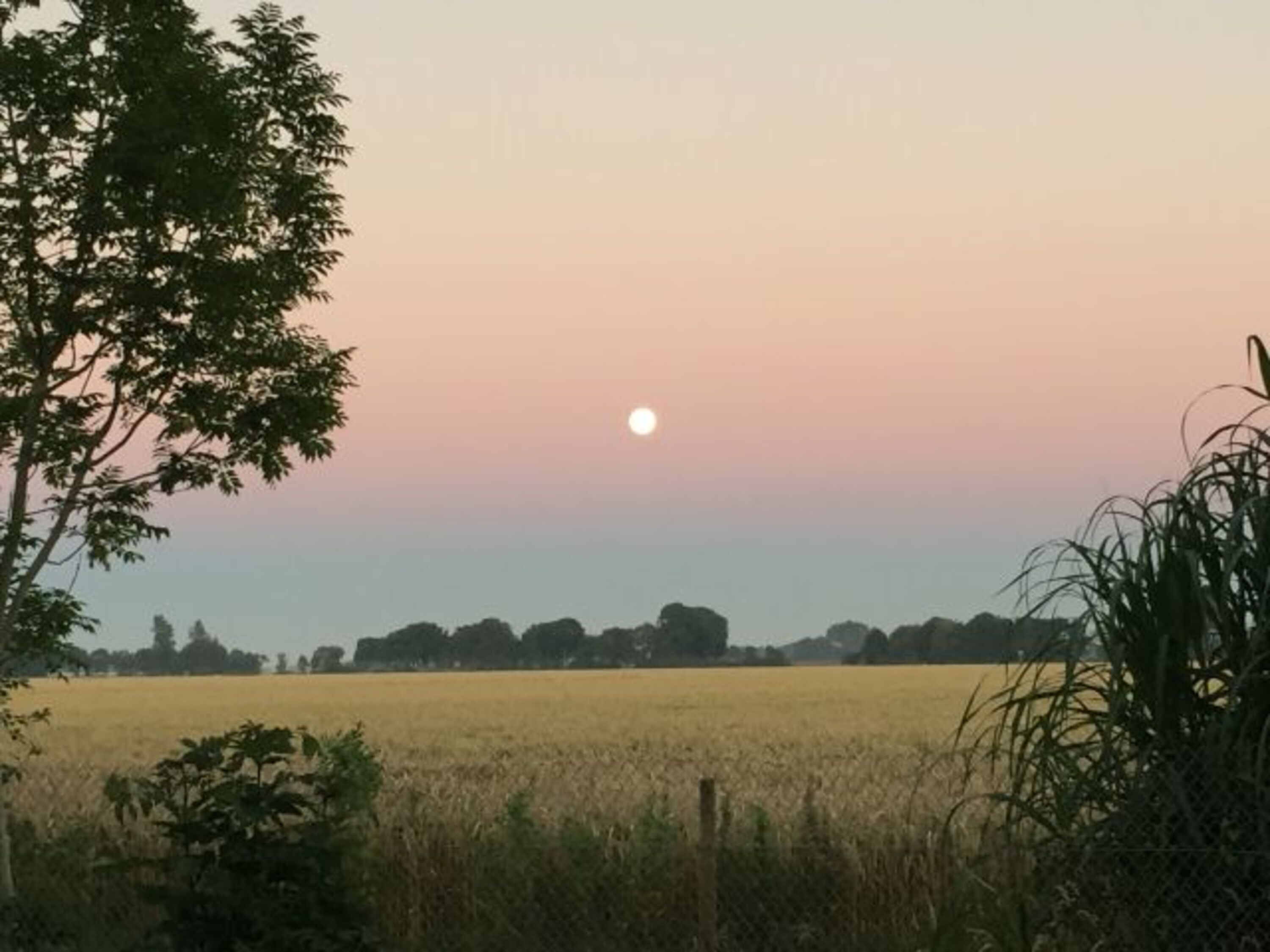 Der Blick über die Felder