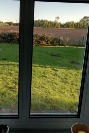 Blick aus dem Küchenfenster auf's Feld