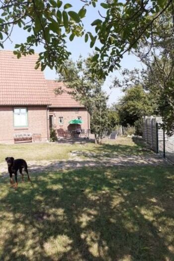 Die Hunde genießen ihre Freiräume in vollen Zügen