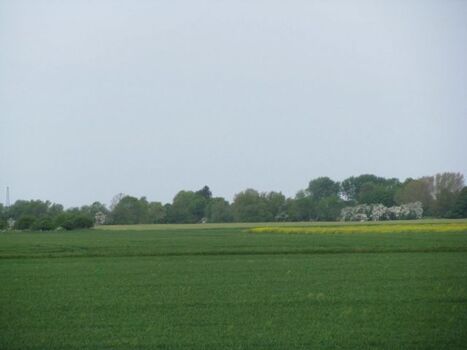 Natur, Ruhe, Entspannung und Erholung pur!!