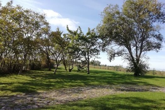 Nochmal der Garten ... "weil's so schön ist"