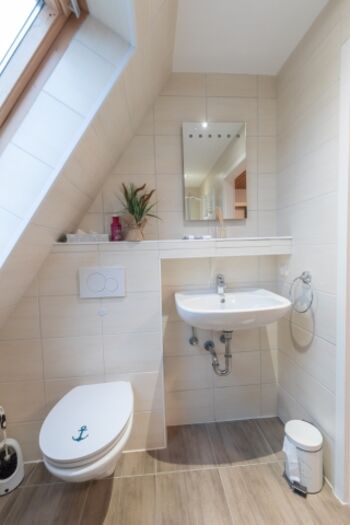 Tageslicht Bad in der 1. Etage mit WC, Handwaschbecken und Dusche