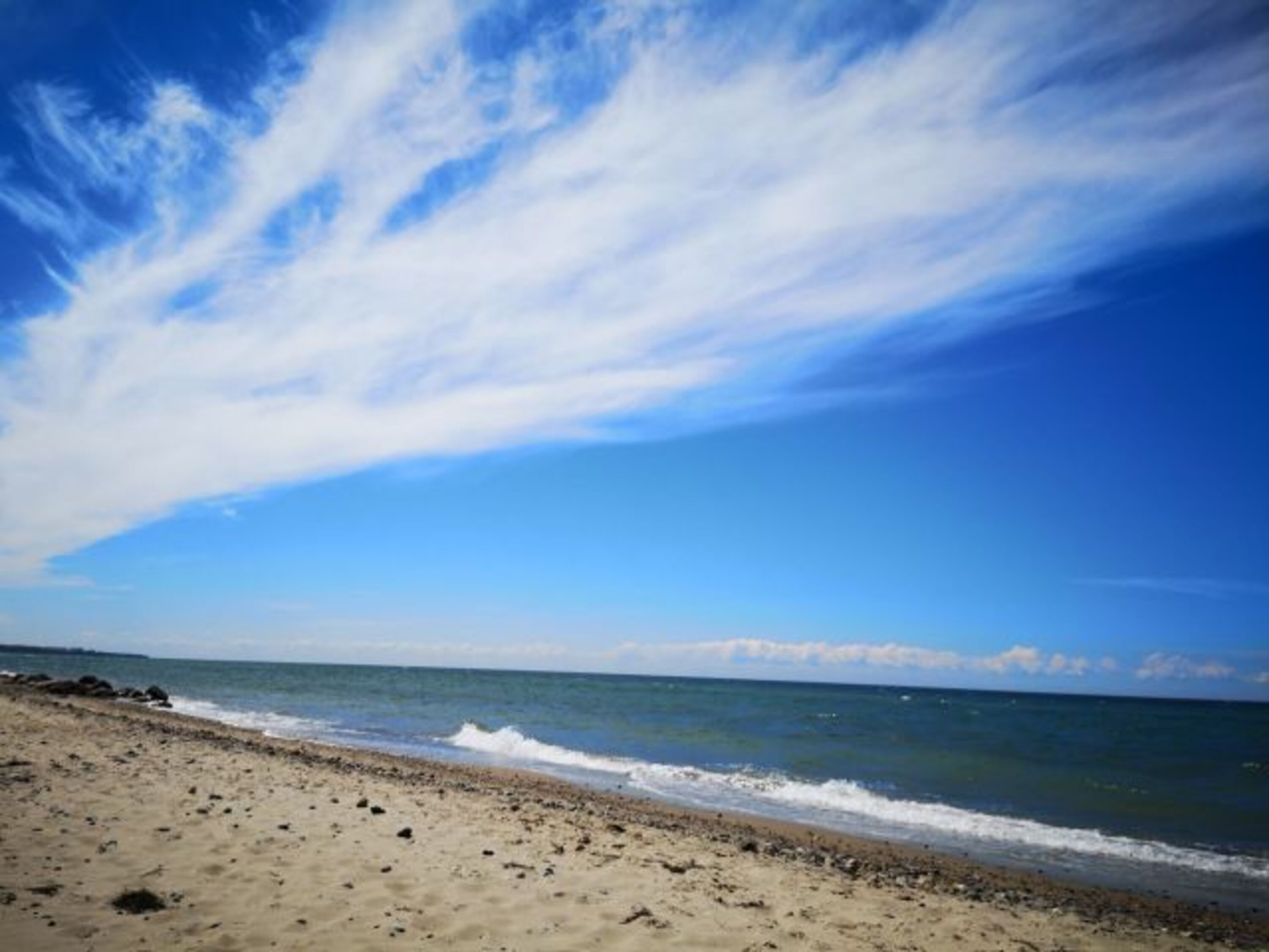 Hundestrand