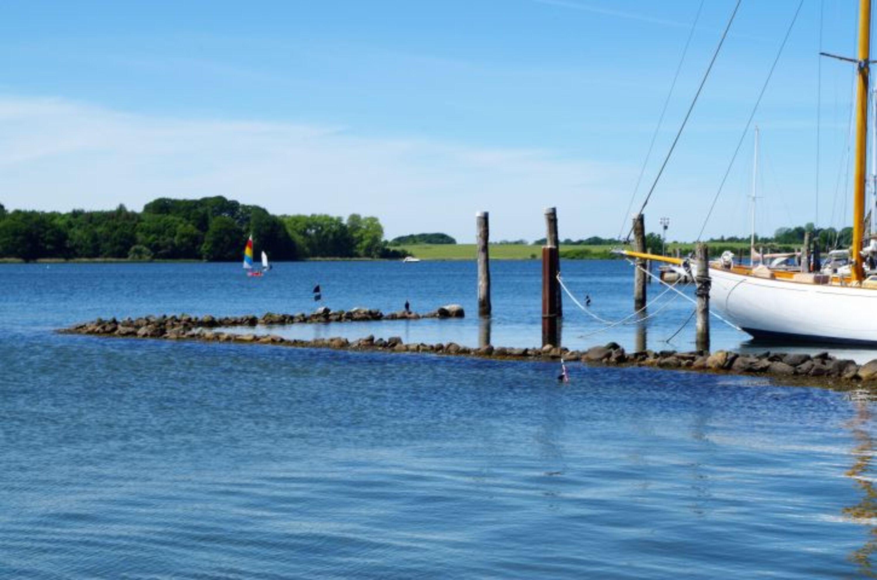 Schlei Maasholm