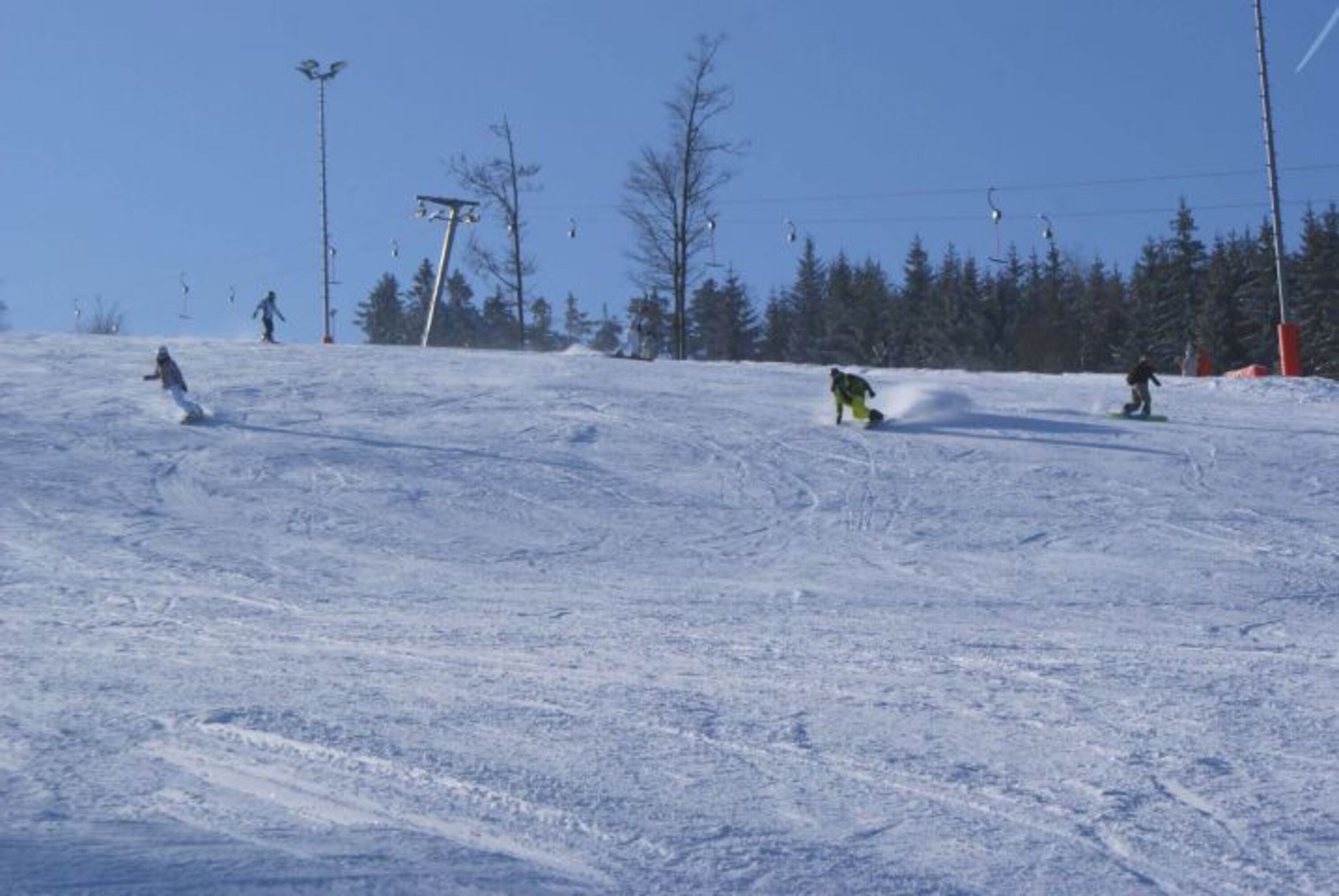 Gaiskopf