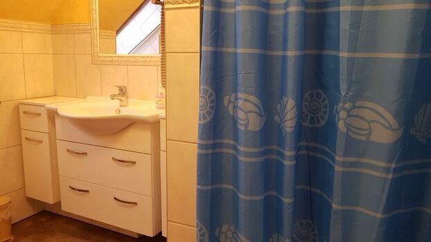 Blick ins Bad mit Dusche