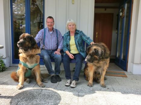 Unsere bisher größten Gästehunde