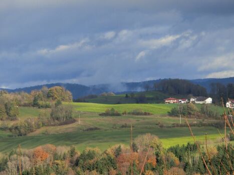 Blick vom Haus in die Berge