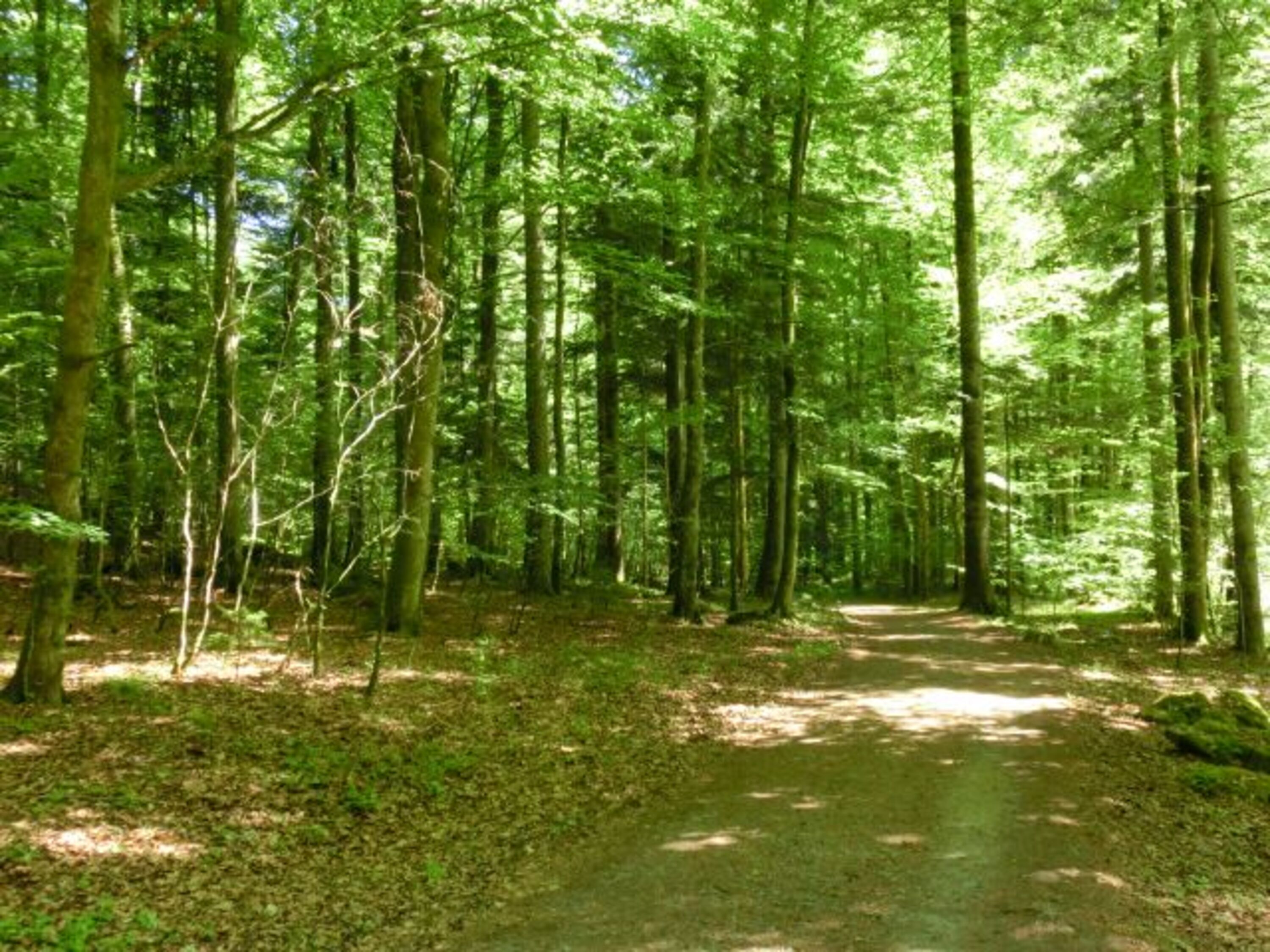 An der Ilz 2