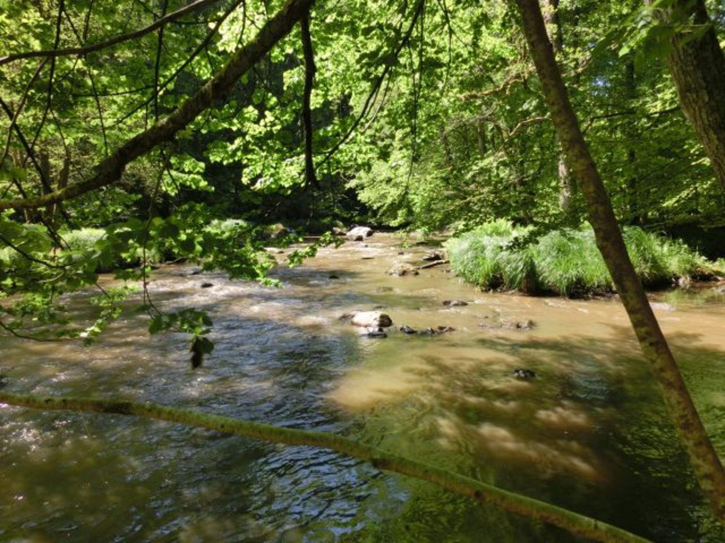 An der Ilz 1