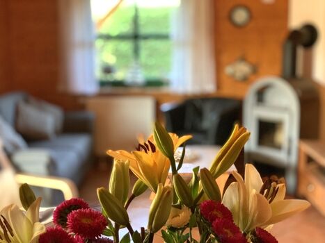 Ostseeurlaub im Ferienhaus Ostseezauber