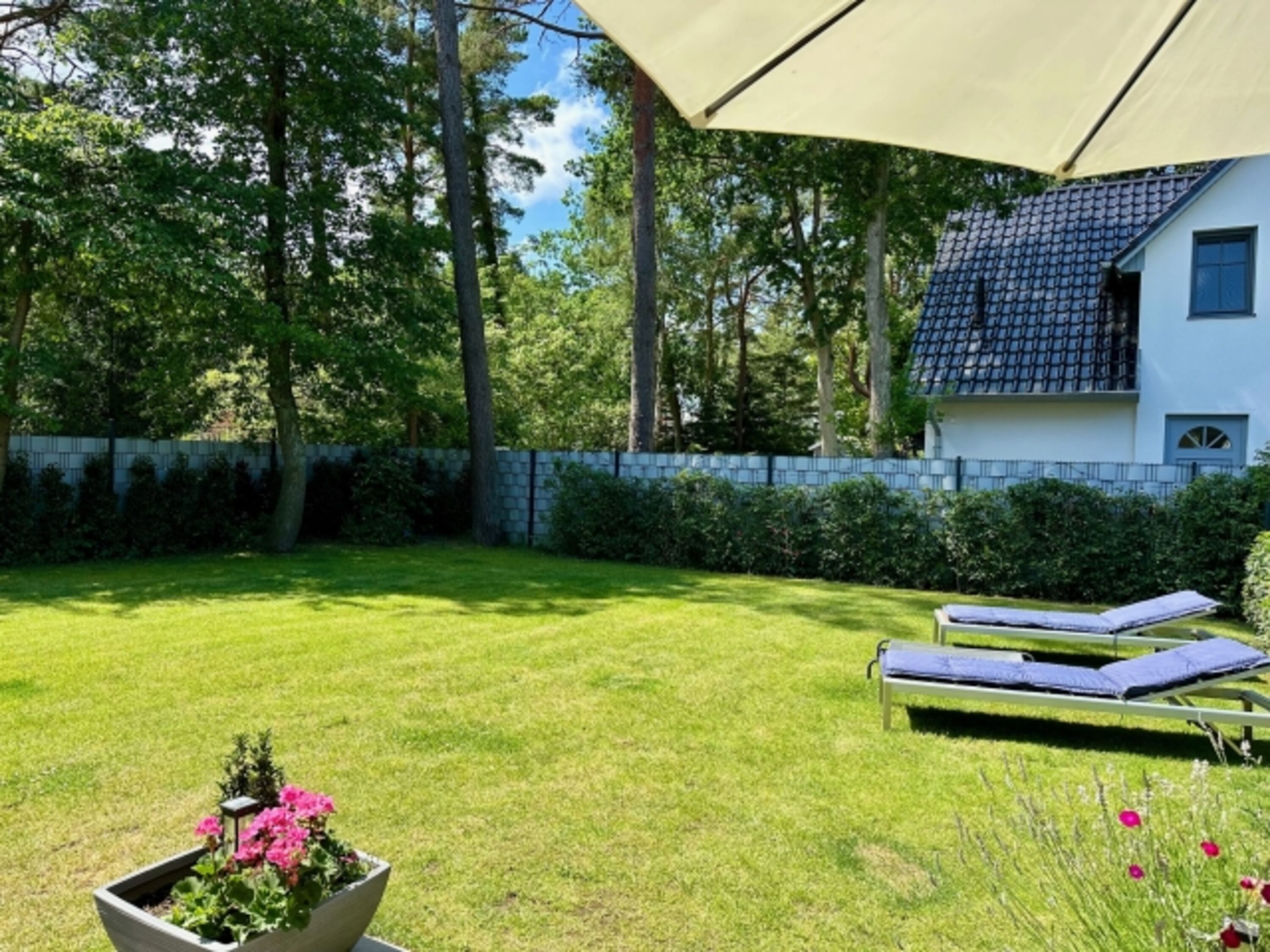 Bild 14