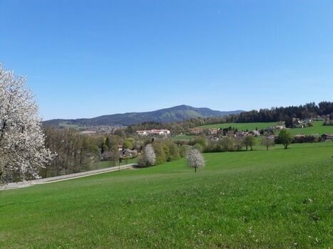 Ausblick Kaitersberg