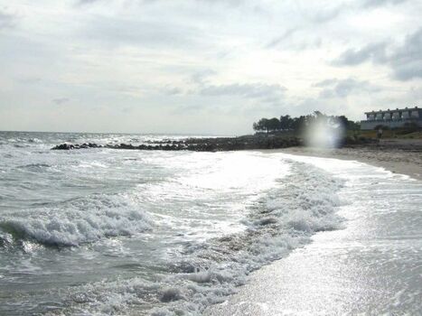 Im Winter können sie mit dem Hund den ganzen Strand nutzen und müssen nicht schauen wo der Hundestrand endet.