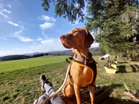 Fernblicke mit ganz viel Auslauf