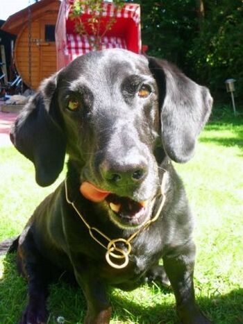 Hier geht es mir gut!