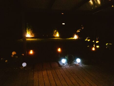 und von dort aus in den Garten