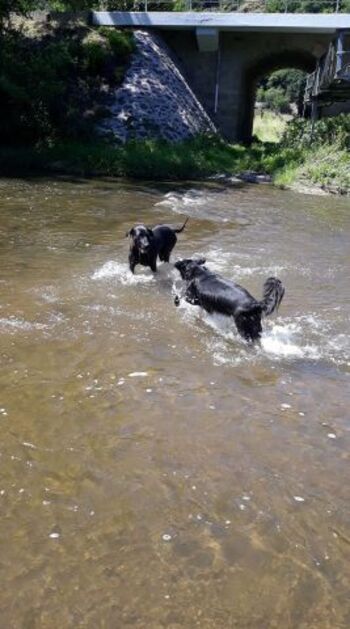 Wasser zum Toben und Spielen in der Nahe 