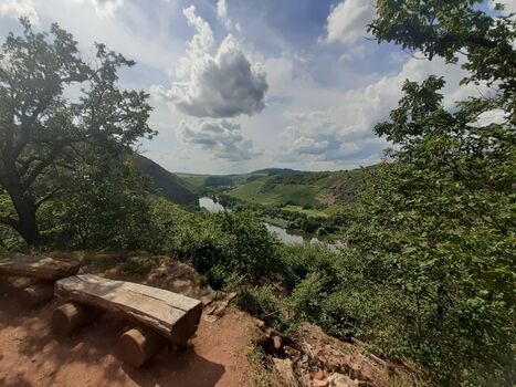 herrlicher Naheblick auf der Vitaltour "Lembergblick"