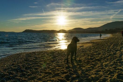 Strand von La Croix Valmer